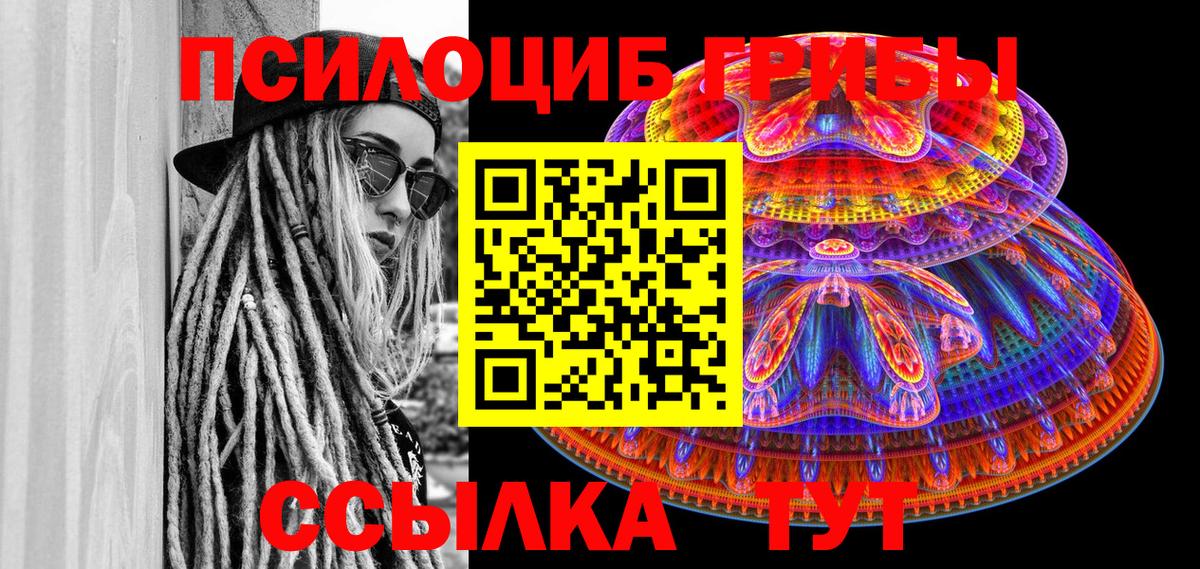 Галлюциногенные грибы мицелий  Галлюциногенные грибы Psilocybine cubensis  Вход с VPN  Курганинск 
